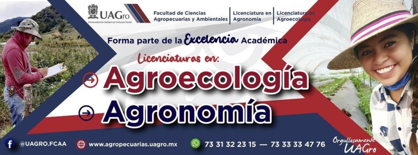  Departamento de Acompañamiento a la Formación del Estudiante (DAFE)